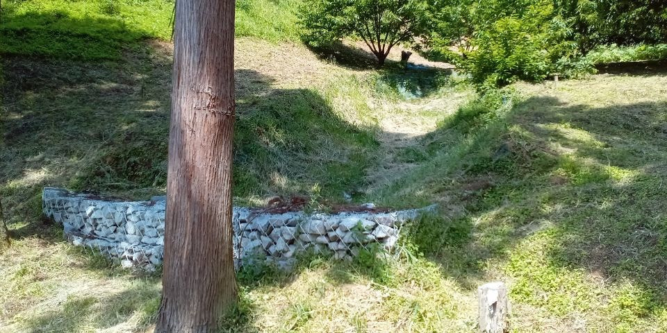 20230512-102547-585.jpg