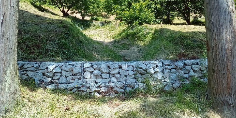 20230512-102643-162.jpg